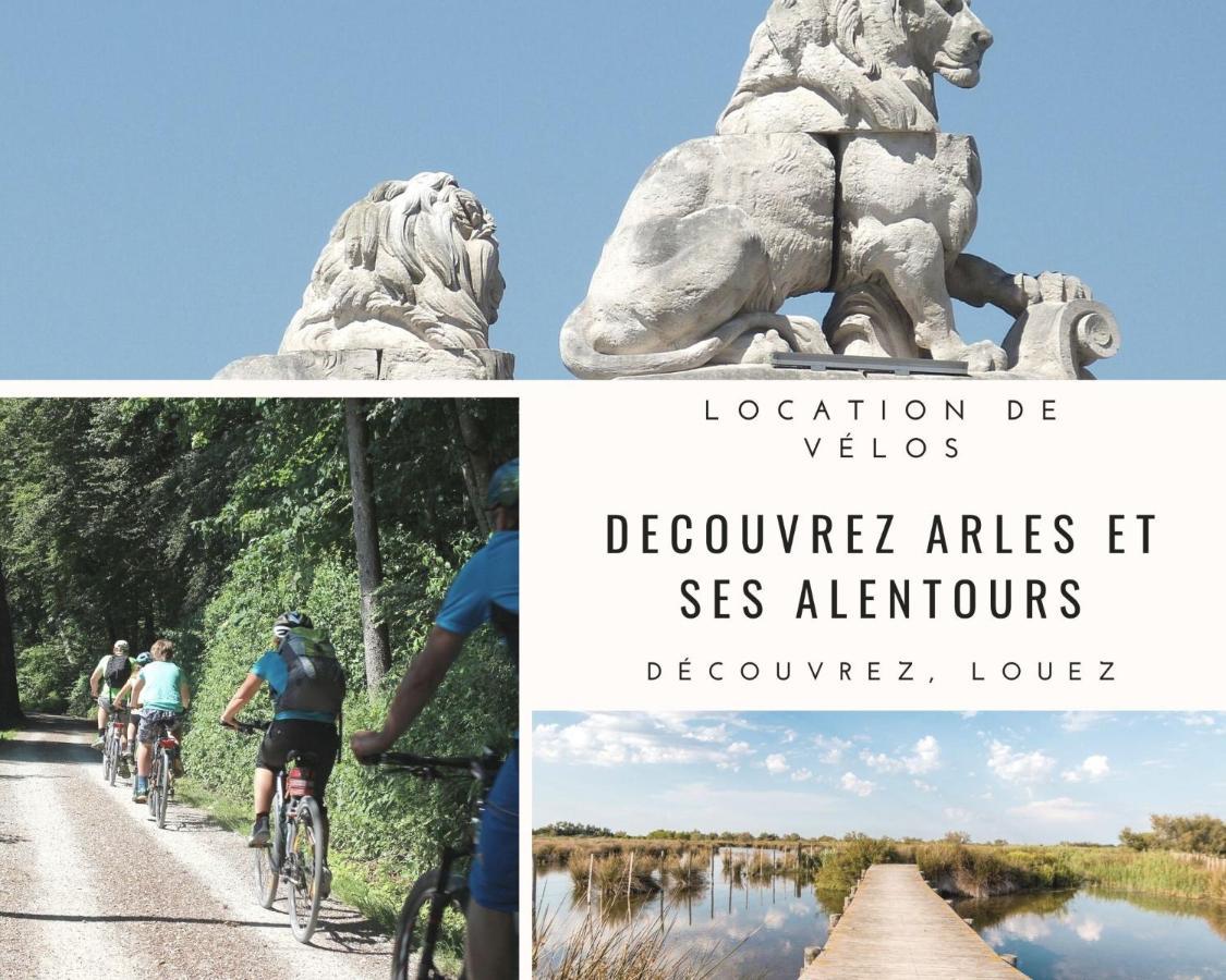 דירות La Terrasse Ensoleillee Arles Camargue מראה חיצוני תמונה